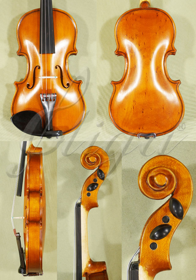 Antiqued 1/10 School GENIAL 1-Oil Special Birds Eye Maple One Piece Back Violin * Code: B9895