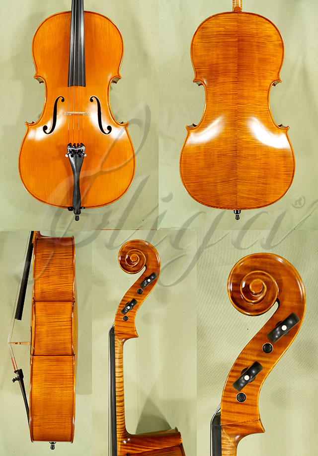 4/4 PROFESSIONAL GAMA Cello * Code: C3453