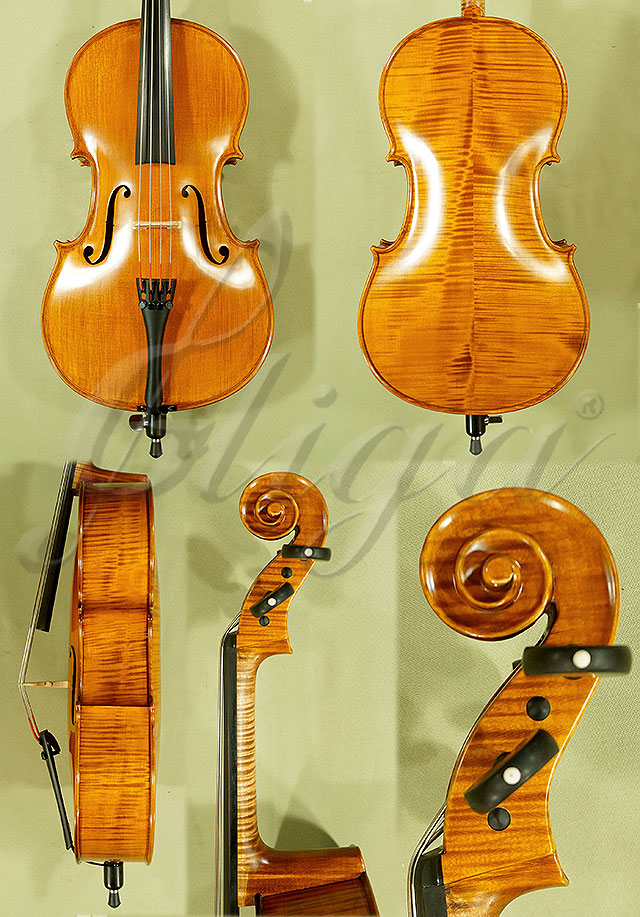 1/8 PROFESSIONAL GAMA Cello * Code: C5216