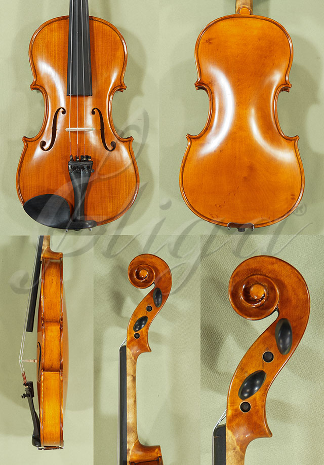 Antiqued 4/4 Student GEMS 2 Birds Eye Maple One Piece Back Violin  * Code: C8352