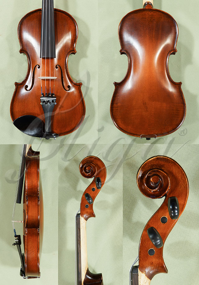 4/4 School GENIAL 1-Oil Violin  * Code: C8428