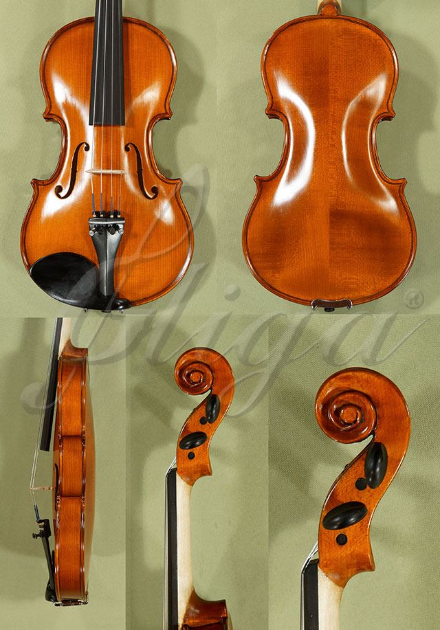 1/2 School GENIAL 1-Oil Violin  * Code: C9126