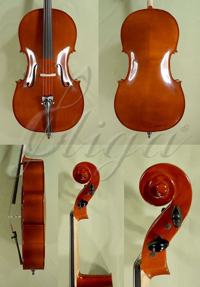 4/4 School GENIAL 2-Nitro Playwood Cello  * Code: D0192