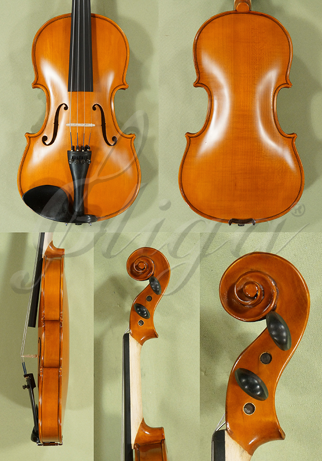 Antiqued 3/4 School GENIAL 1-Oil Special One Piece Back Violin  * Code: D0330