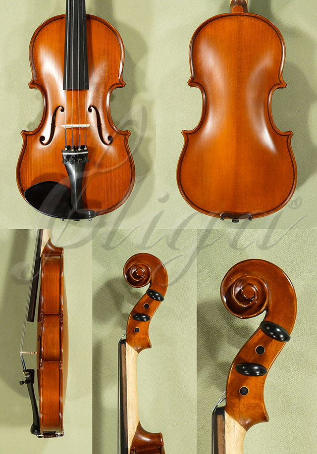 1/4 School GENIAL 1-Oil Violin  * Code: D0468