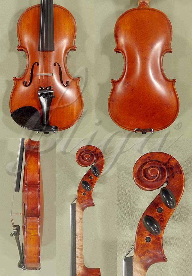 Antiqued 1/4 ADVANCED Student 'GEMS 2' Bird's Eye Maple One Piece Back Violin * Code: B3552