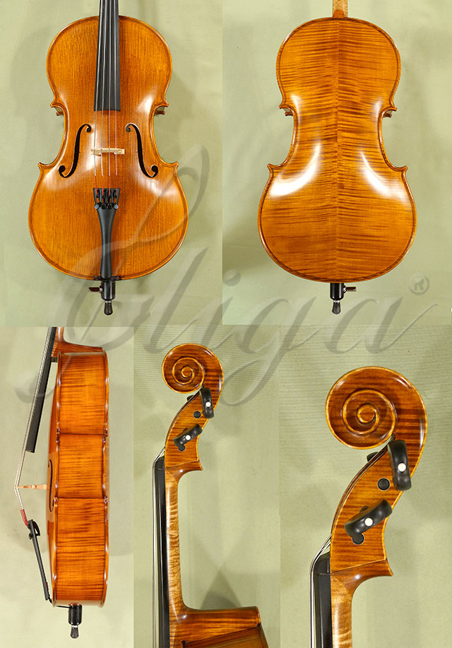 1/8 PROFESSIONAL GAMA Cello * Code: C3501