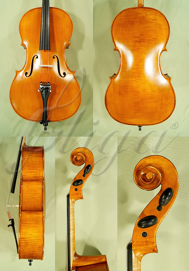Antiqued 3/4 WORKSHOP GEMS 1 Cello * Code: C4852