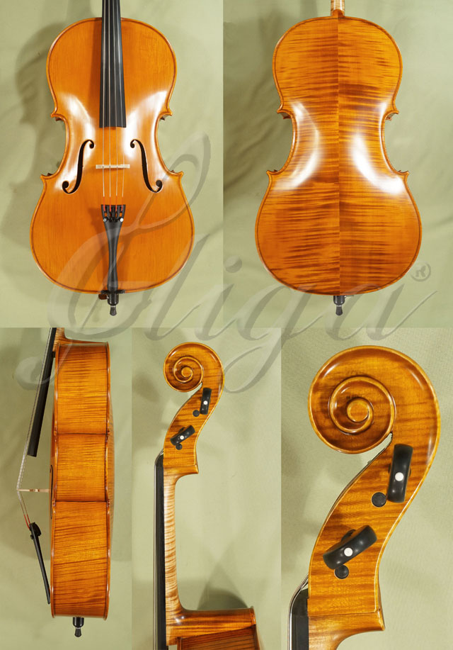1/2 PROFESSIONAL GAMA Cello * Code: C5065