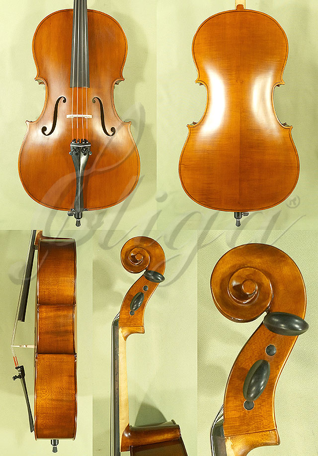 1/2 School Genial 1 - Laminated Playwood Cello  * Code: C5402