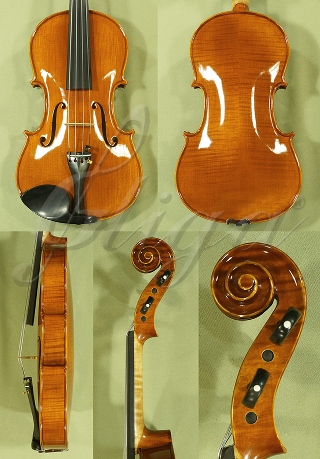 Shiny Antiqued 15.5" PROFESSIONAL GAMA Viola * Code: C5469