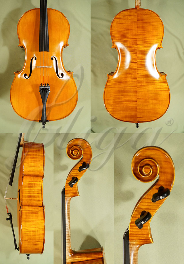 4/4 PROFESSIONAL GAMA Cello * Code: C6277