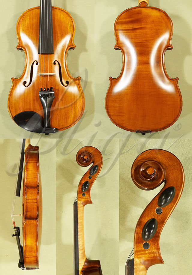 Antiqued 4/4 Student GEMS 2 One Piece Back Violin Guarneri  * Code: C6767