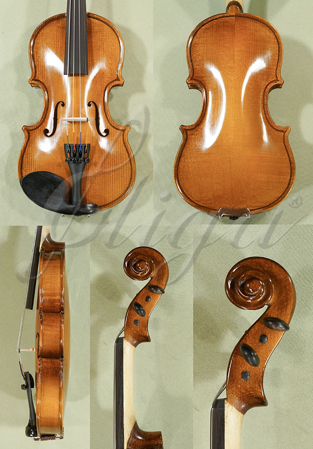 1/16 School GENIAL 2-Nitro Violin * Code: C6880