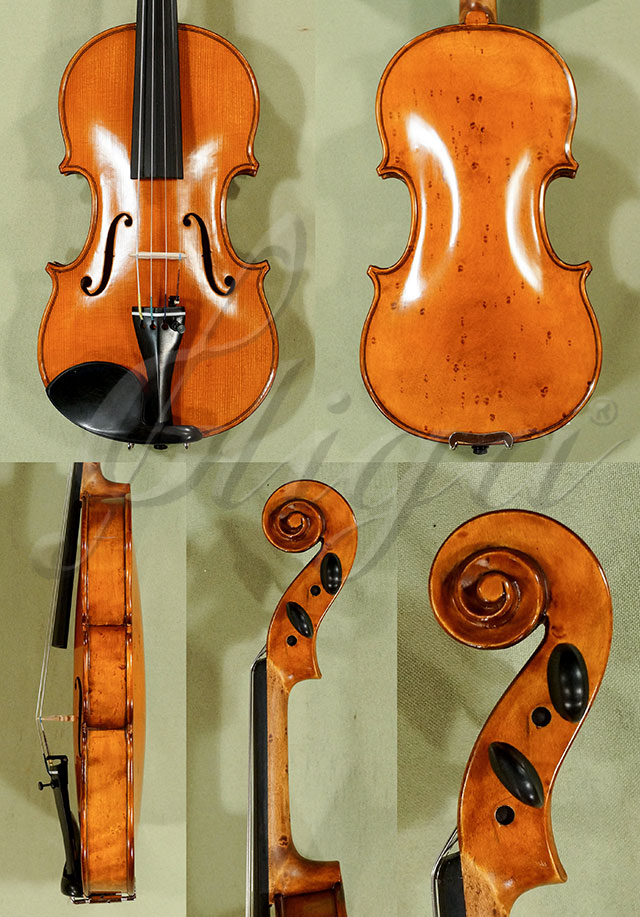 Antiqued 1/4 WORKSHOP GEMS 1 Birds Eye Maple One Piece Back Violin  * Code: C6946