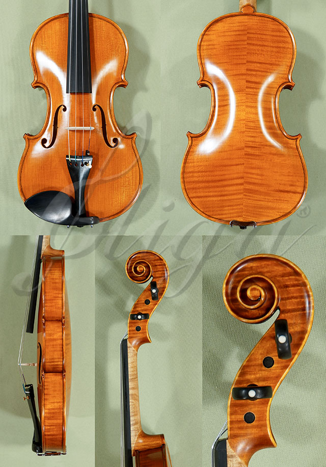 4/4 PROFESSIONAL GAMA Violin  * Code: C9059