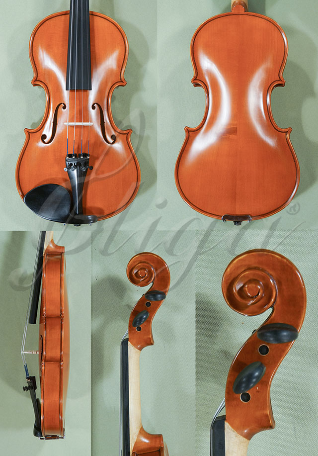1/2 School GENIAL 1-Oil Violin  * Code: C9625