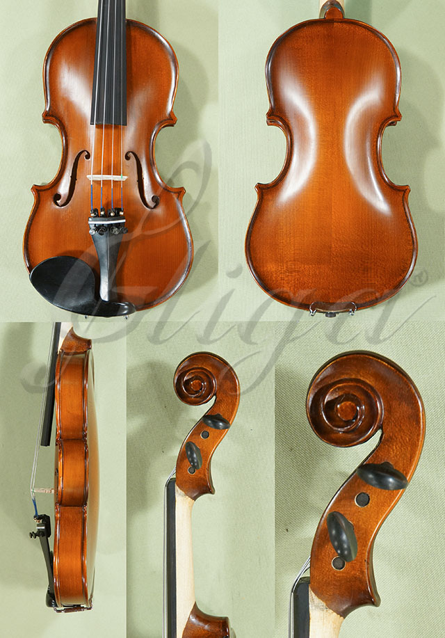 1/4 School GENIAL 1-Oil Violin  * Code: C9695