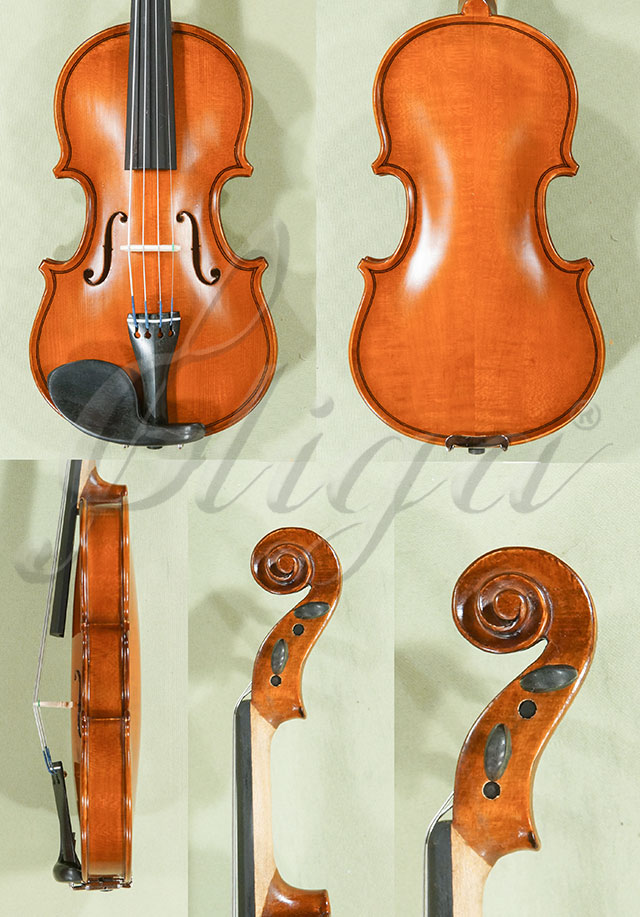 1/16 School GENIAL 1-Oil Violin * Code: D0052
