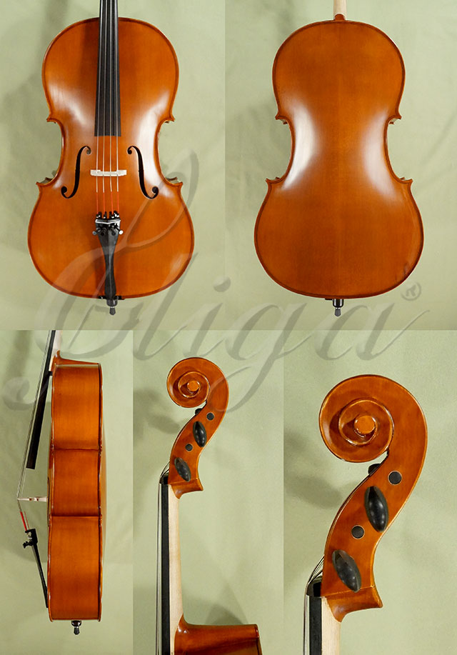 3/4 School GENIAL 1-Oil Left Handed Cello * Code: D0183