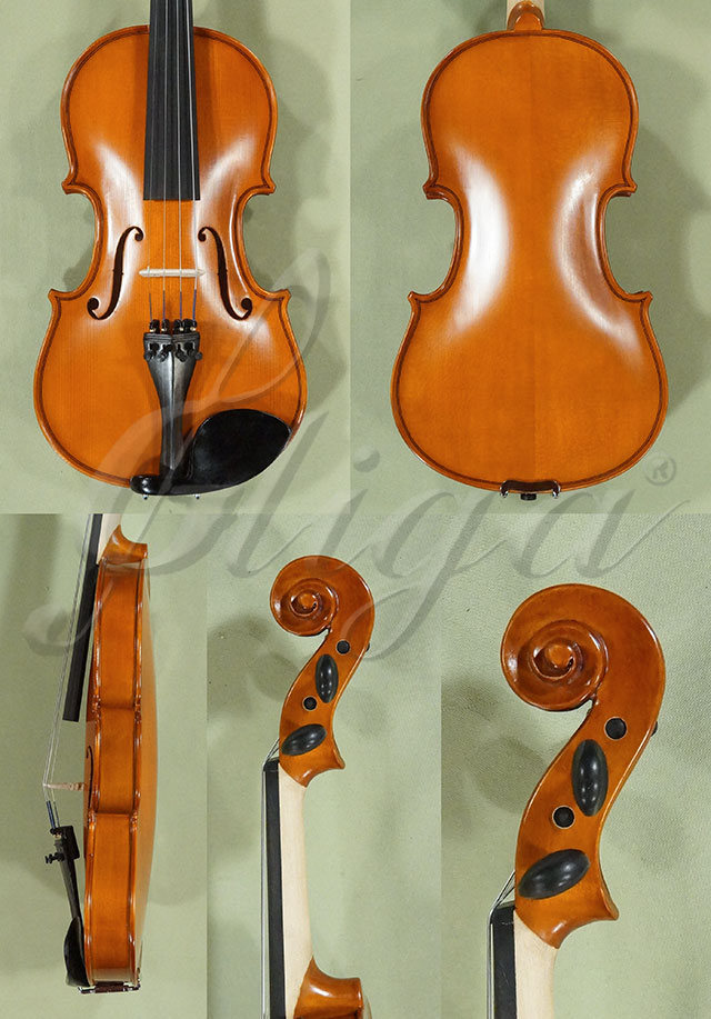 3/4 School GENIAL 1-Oil Left Handed Violin  * Code: D0231