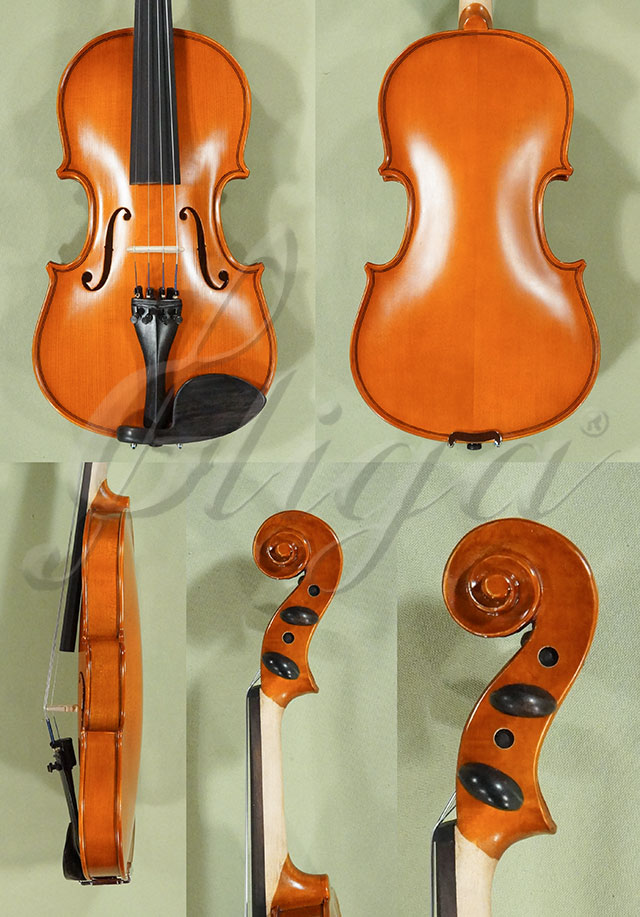 3/4 School GENIAL 1-Oil Left Handed Violin  * Code: D0235