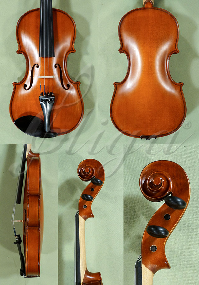 4/4 School GENIAL 1-Oil Violin * Code: D0268