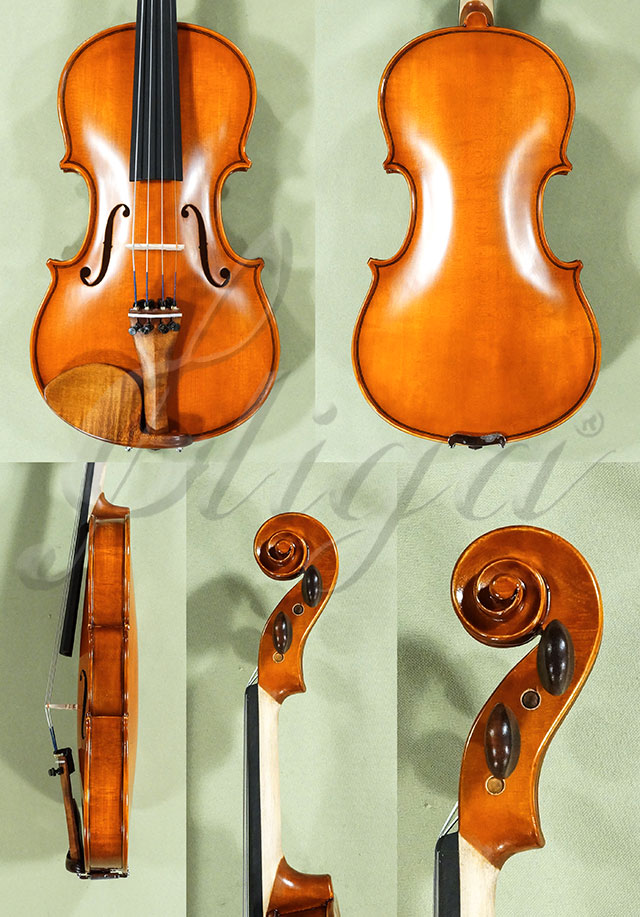 Antiqued 1/2 Student GLORIA 2 Violin  * Code: D0398