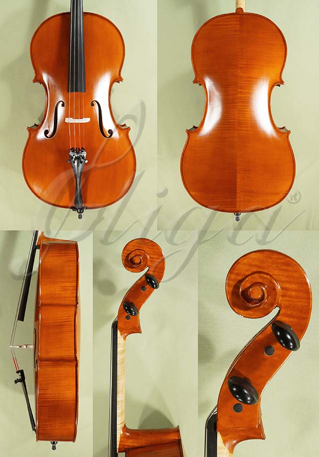 4/4 Student GEMS 2 Cello  * Code: D0615