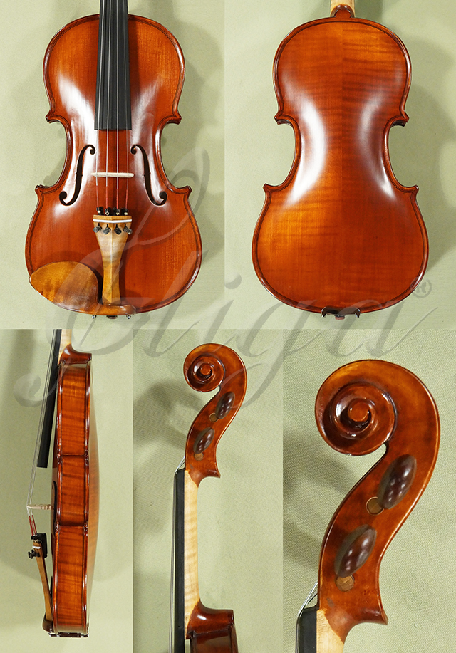 Antiqued 3/4 Student GLORIA 1 Violin  * Code: D0663