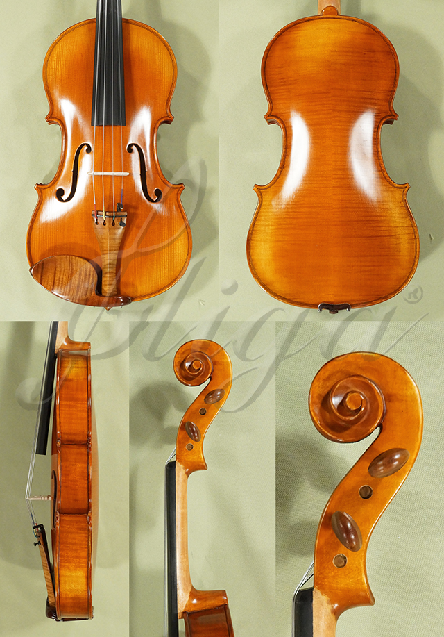 Antiqued 16" ADVANCED GENOVA 3 Viola  * Code: D0711