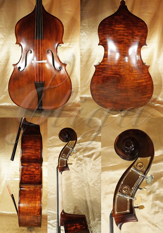 Stained Antiqued 3/4 School Genial 1 - Mixt Playwood Double-Bass  * Code: D0786