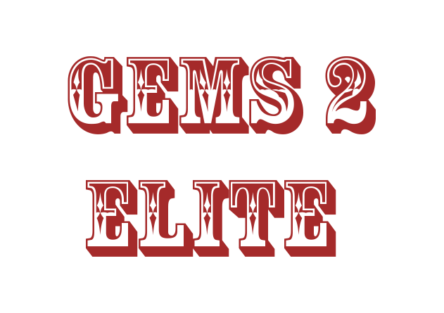 1/2 Gliga 'GEMS 2 Elite' Violins