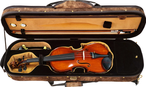 Kit On Sale: Gliga Gama Full Size 4/4 Violin Outfit