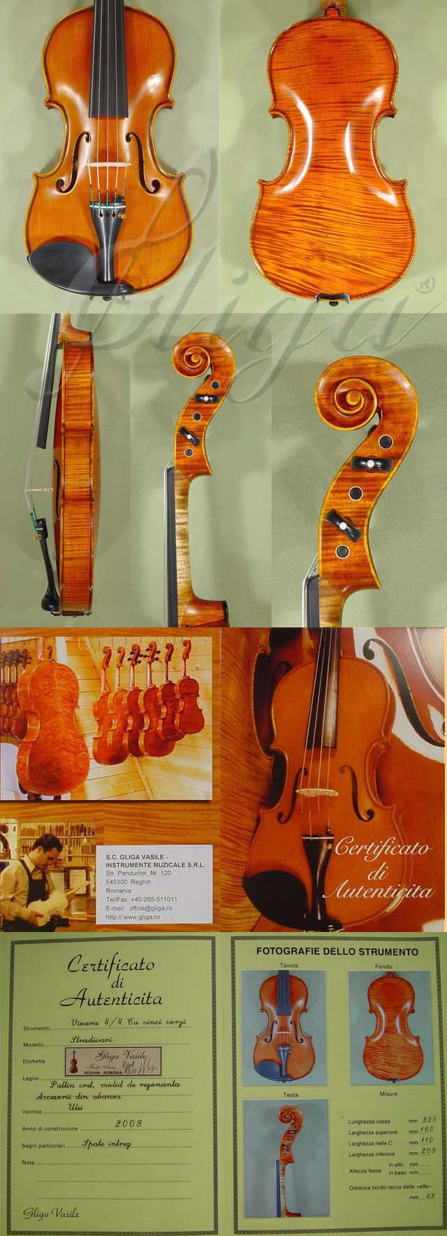 4/4 MAESTRO VASILE GLIGA Five Strings One Piece Back Violin * Code: A8589