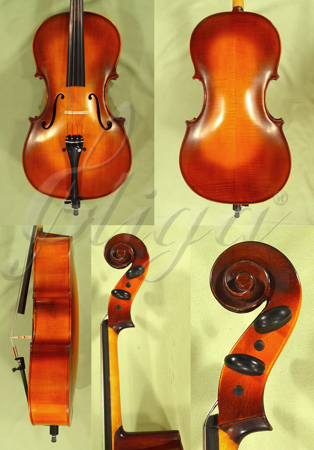 1/4 School GENIAL 1-Oil Cello * Code: B1534