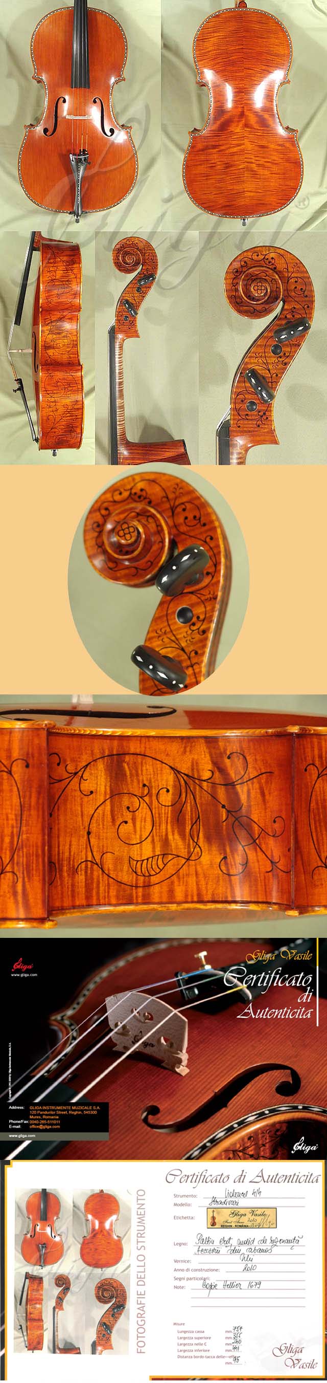 4/4 MAESTRO VASILE GLIGA Rare White Bone and Ebony Inlaid Purfling Cello * Code: B2056