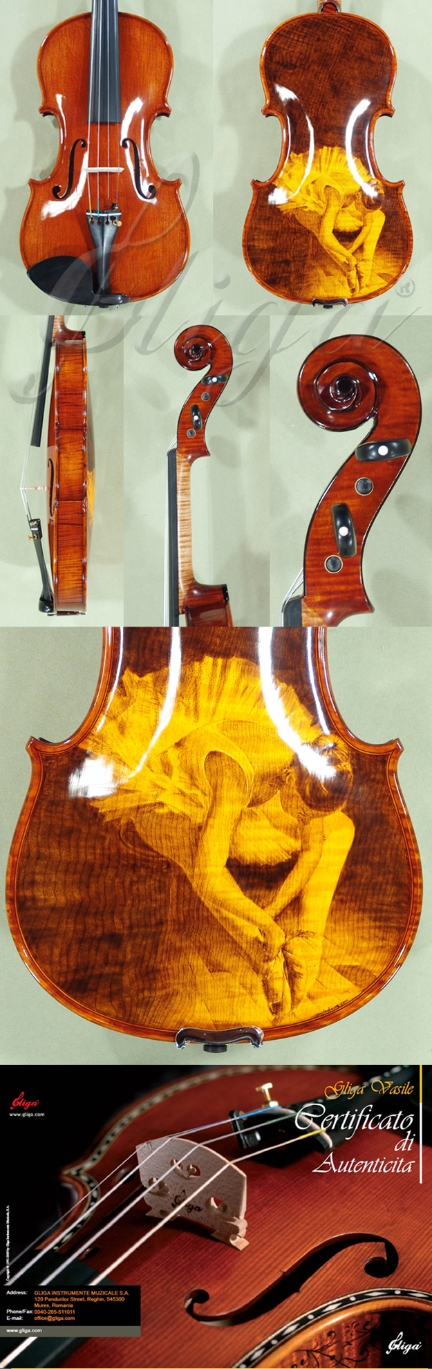 Shiny 4/4 MAESTRO VASILE GLIGA One Piece Back Violin * Code: B6161