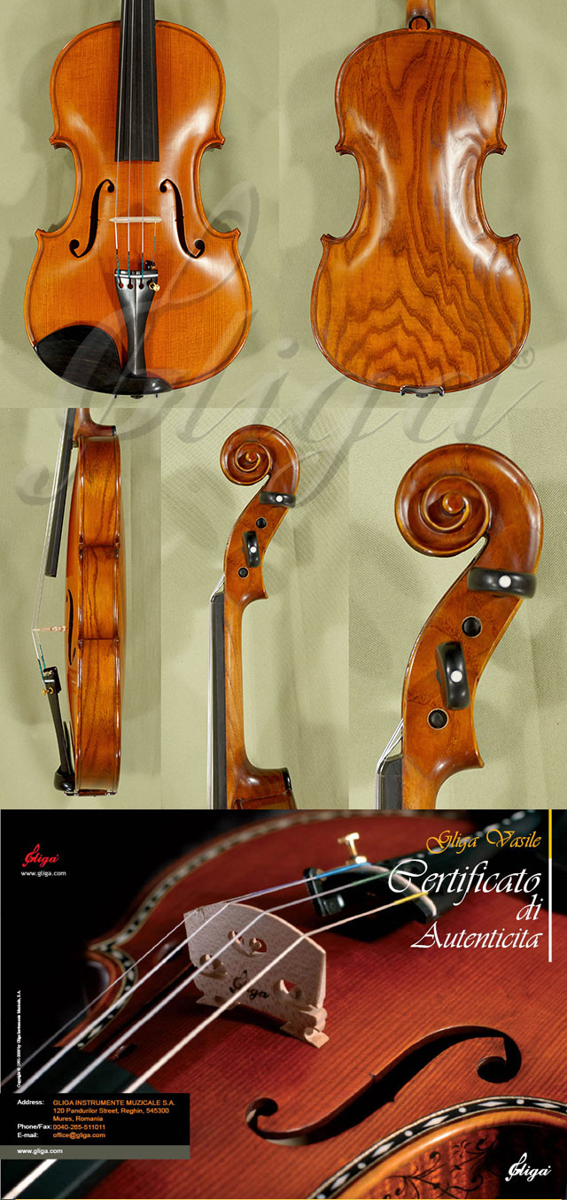 4/4 MAESTRO VASILE GLIGA Ash One Piece Back Violin Guarneri Model * Code: B7189