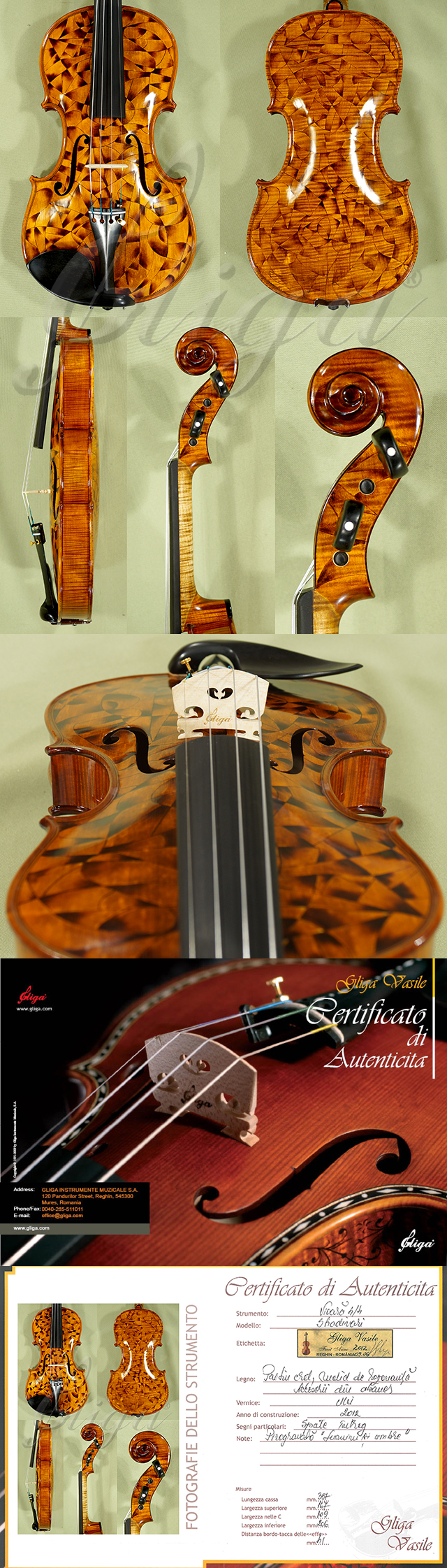 Shiny 4/4 MAESTRO VASILE GLIGA One Piece Back Violin * Code: B7306