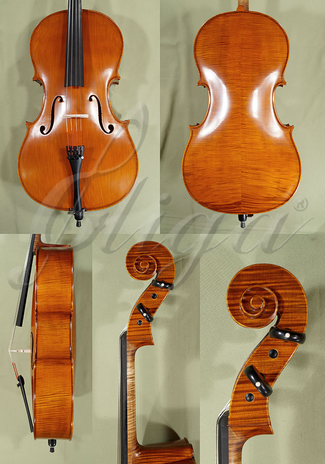 1/2 PROFESSIONAL GAMA Cello * Code: B8700