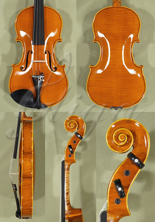Shiny 4/4 PROFESSIONAL GAMA Violin * Code: B8809