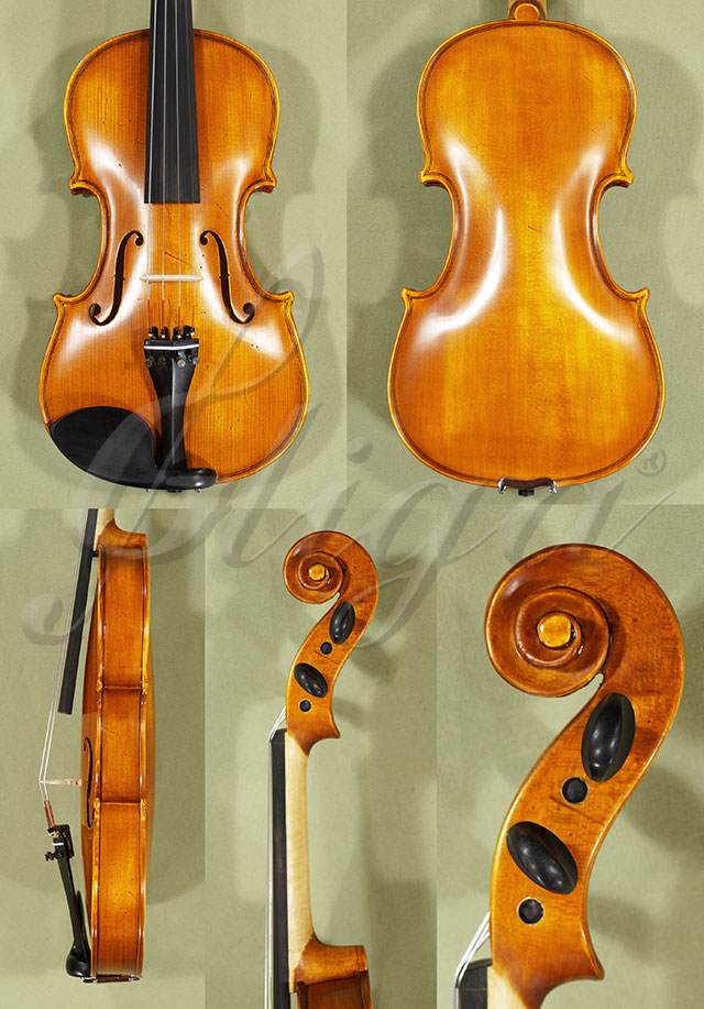 Antiqued 4/4 School GENIAL 1-Oil Scratches Violin * Code: B8968