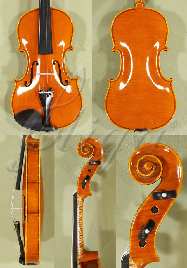 Shiny 4/4 PROFESSIONAL GAMA Violin  * Code: B9483