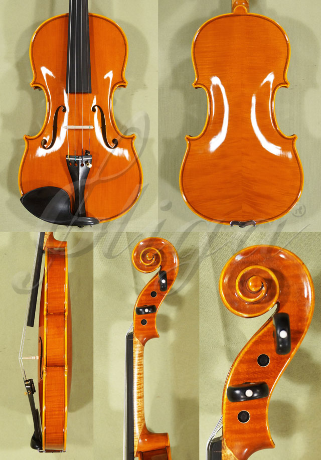 Shiny 4/4 PROFESSIONAL GAMA Violin * Code: B9484