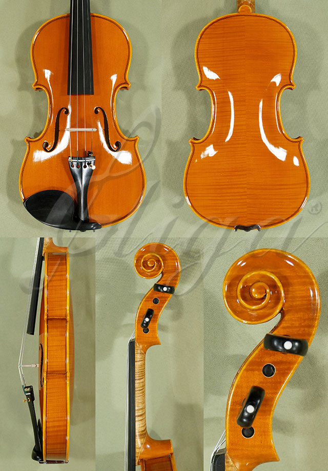 Shiny 4/4 PROFESSIONAL GAMA Violin * Code: B9780