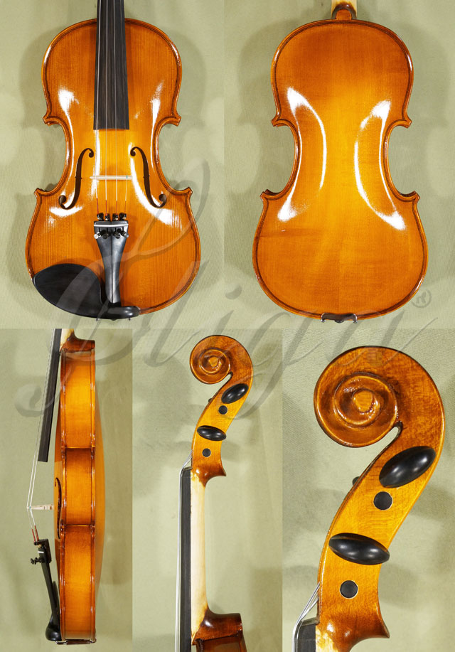 Shiny 4/4 School GENIAL 1-Oil Violin * Code: C0037