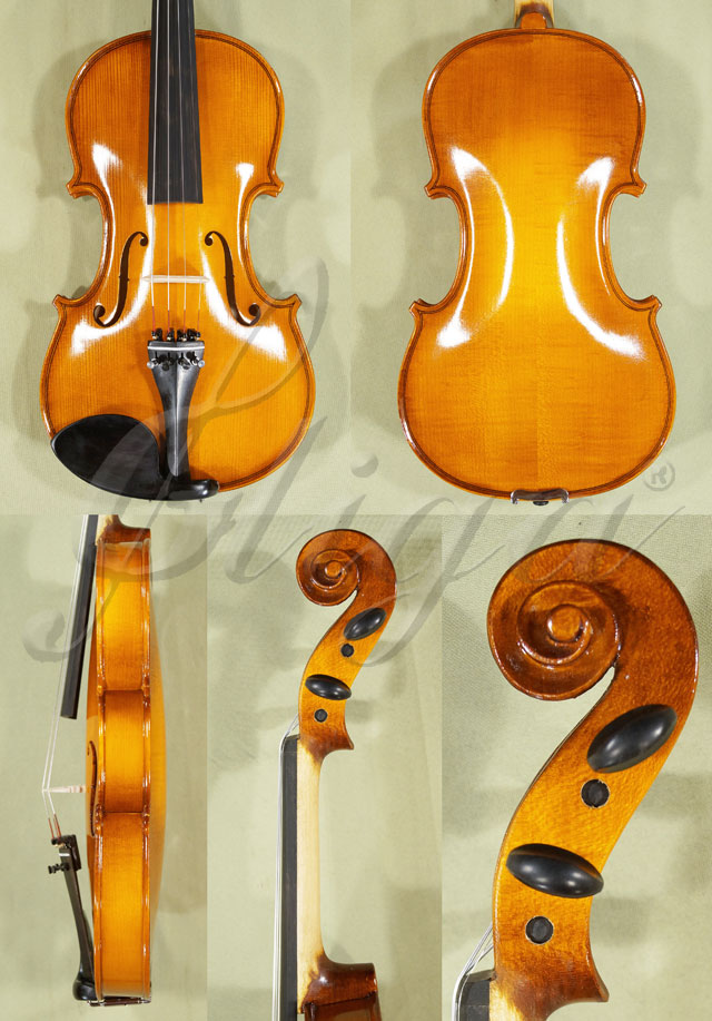 Shiny 4/4 School GENIAL 1-Oil Violin * Code: C0095
