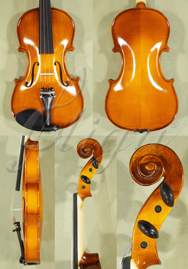 Shiny 4/4 School GENIAL 1-Oil Violin * Code: C0102