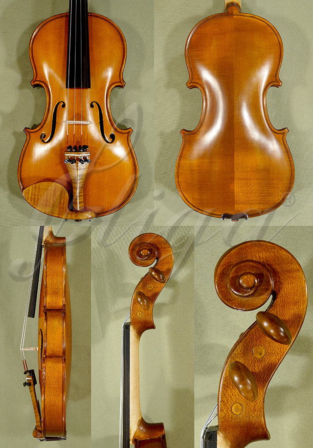 Antiqued 3/4 STUDENT GLORIA 2 Violin * Code: C0433
